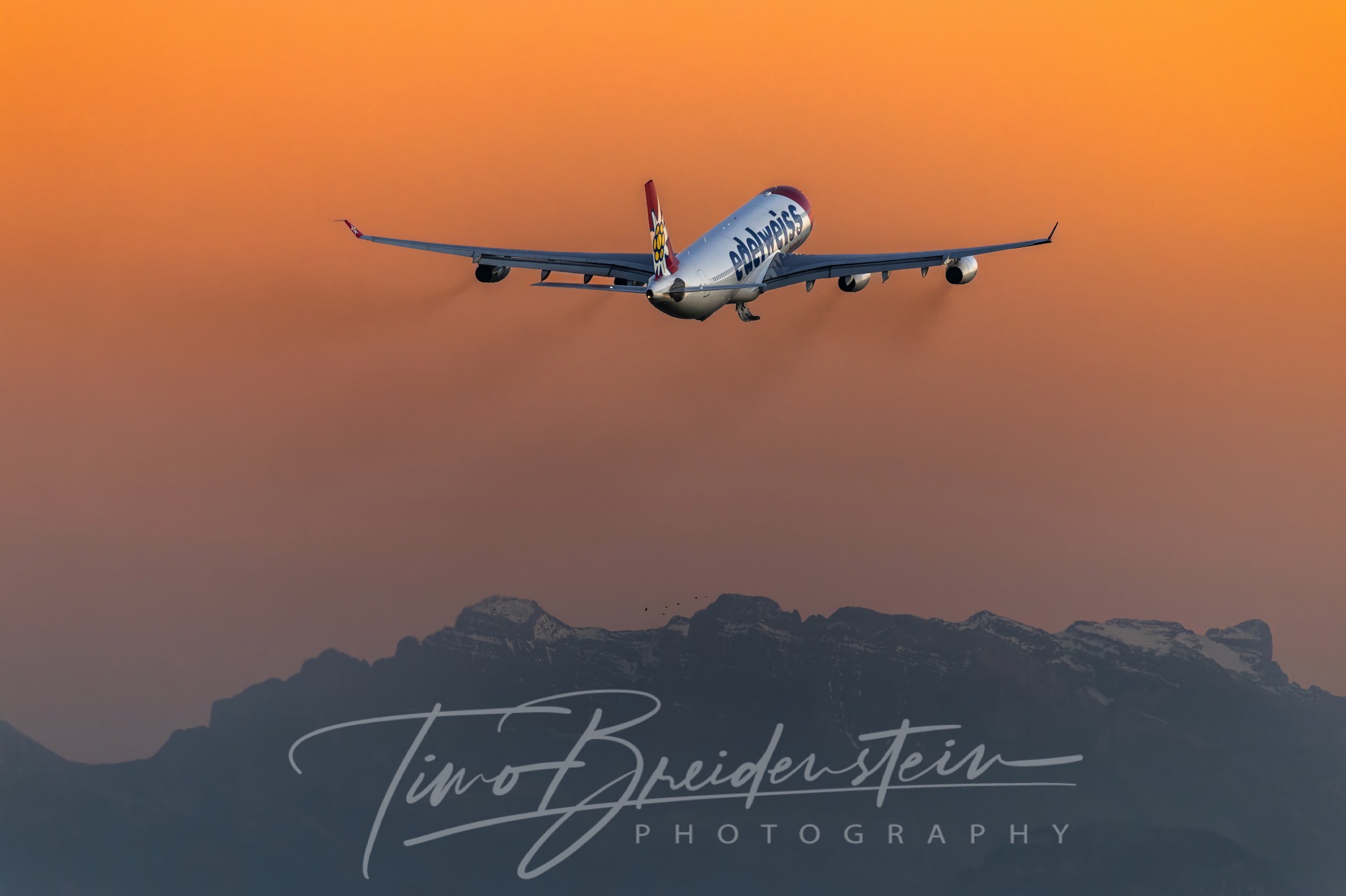 20241101 822A5388 Kopie